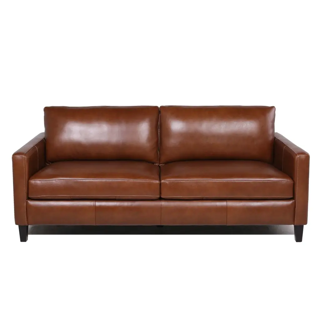 Modern Contemporary Hide Sofa Light Brown 2 Seat Stylish Living Room prime leather co.