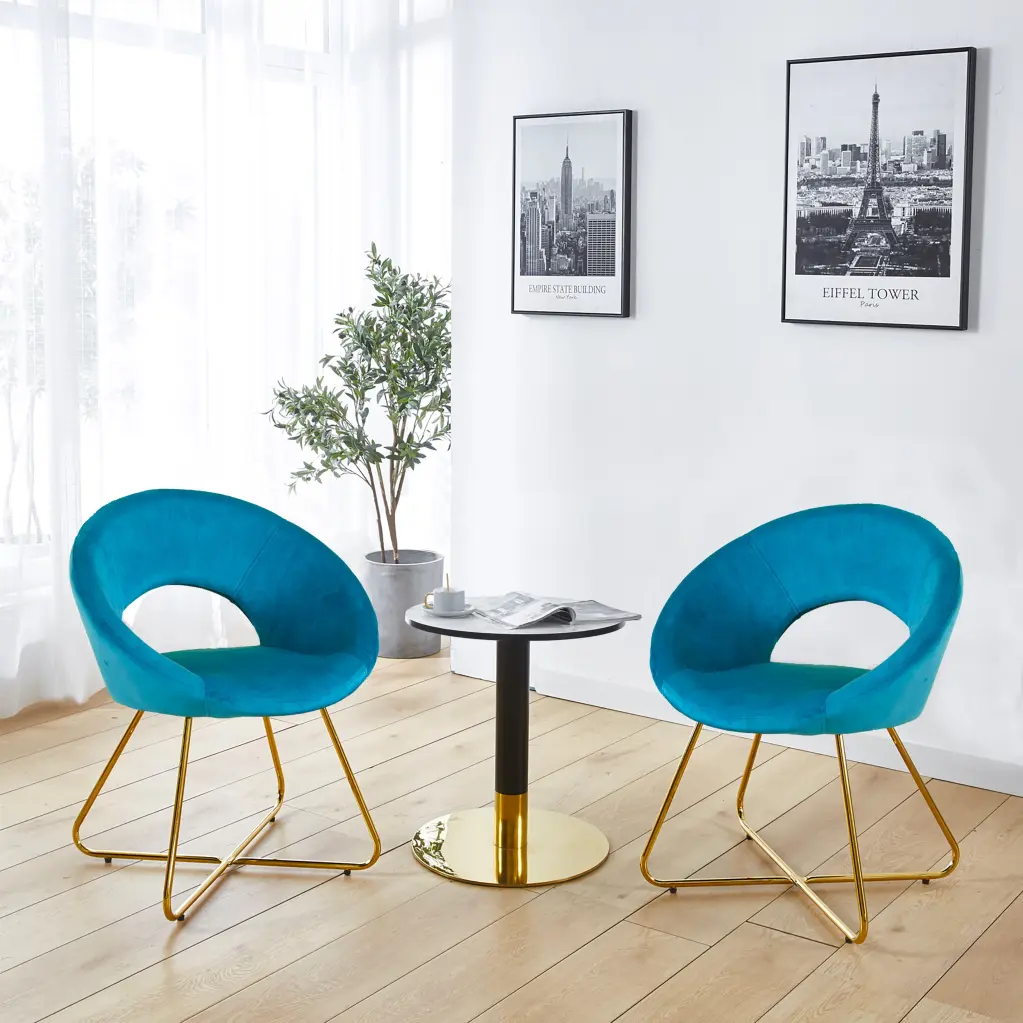 Modern Accent Velvet Chairs Set 2 Dining Chairs Single Sofa gardenia home furnishings
