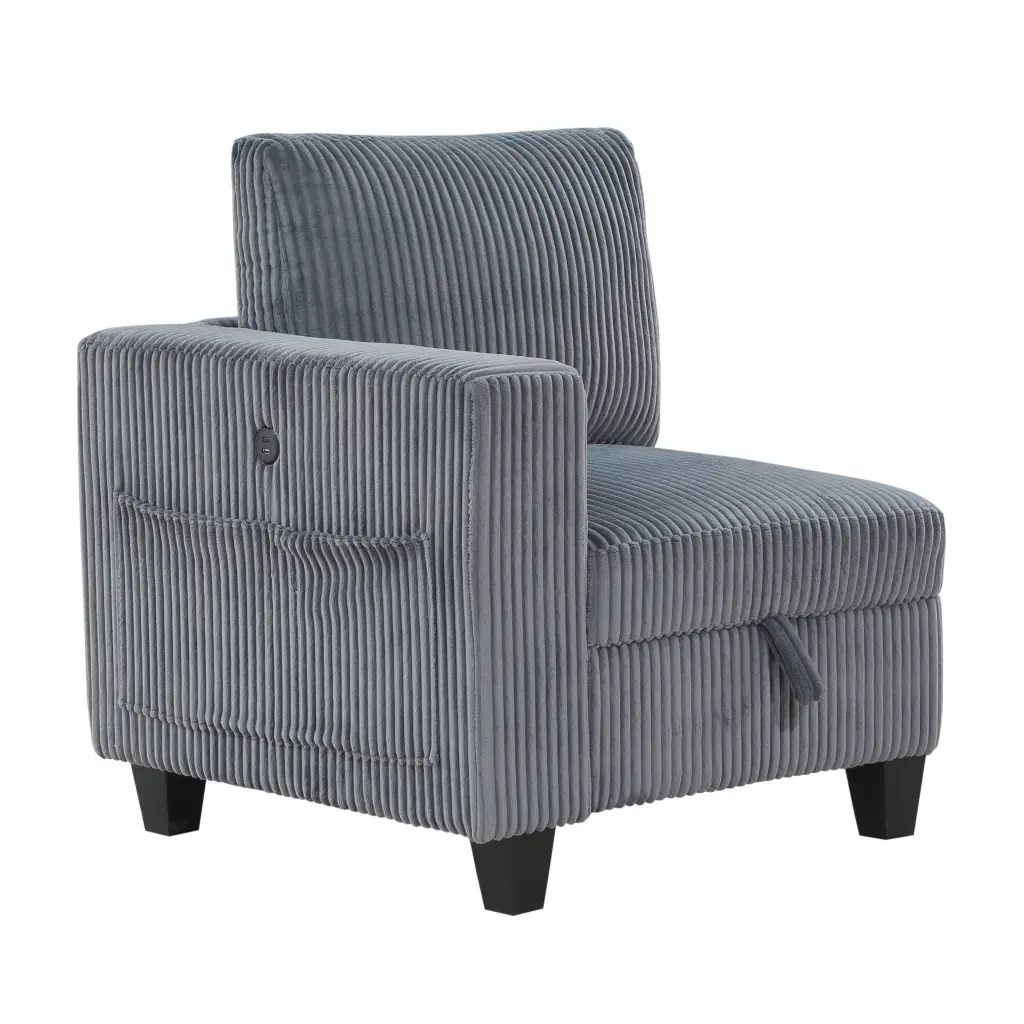Modern Dark Gray Chair One Arm and Storage Living Room kanepe
