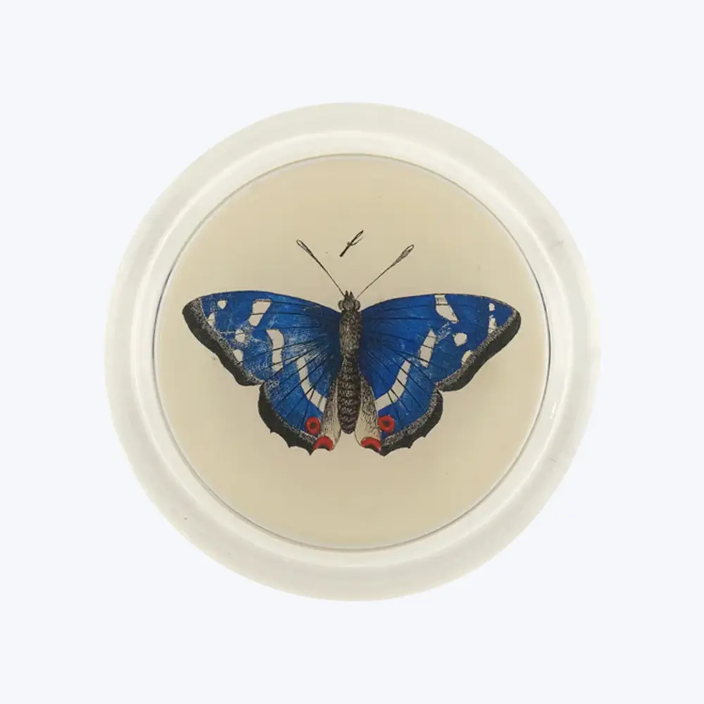 Deep Blue Butterfly Coaster