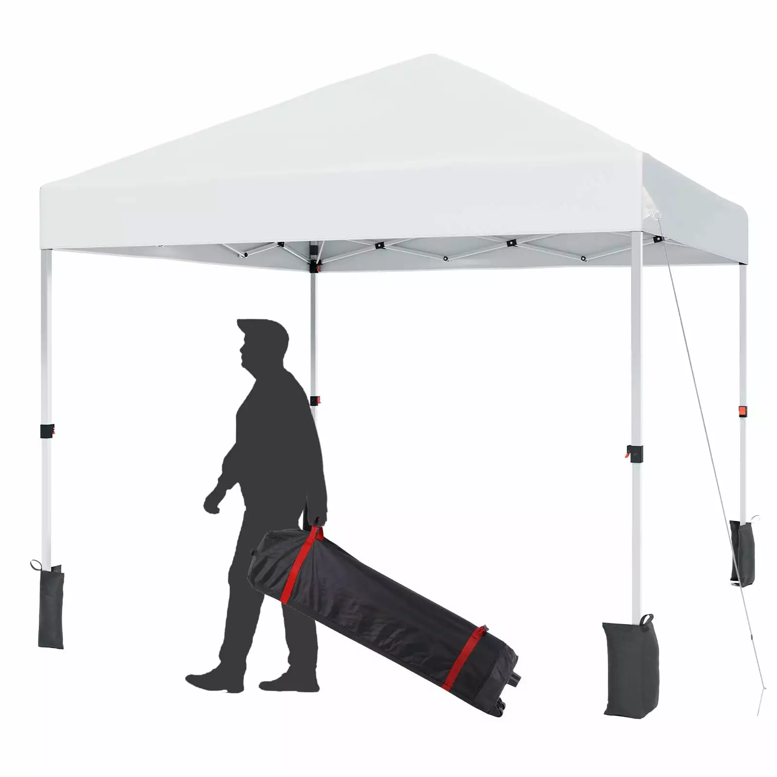 Outdoor Canopy Tent Patented Center Locking System Portable Easy Setup Includes Hand Wheel Bag 1010ft