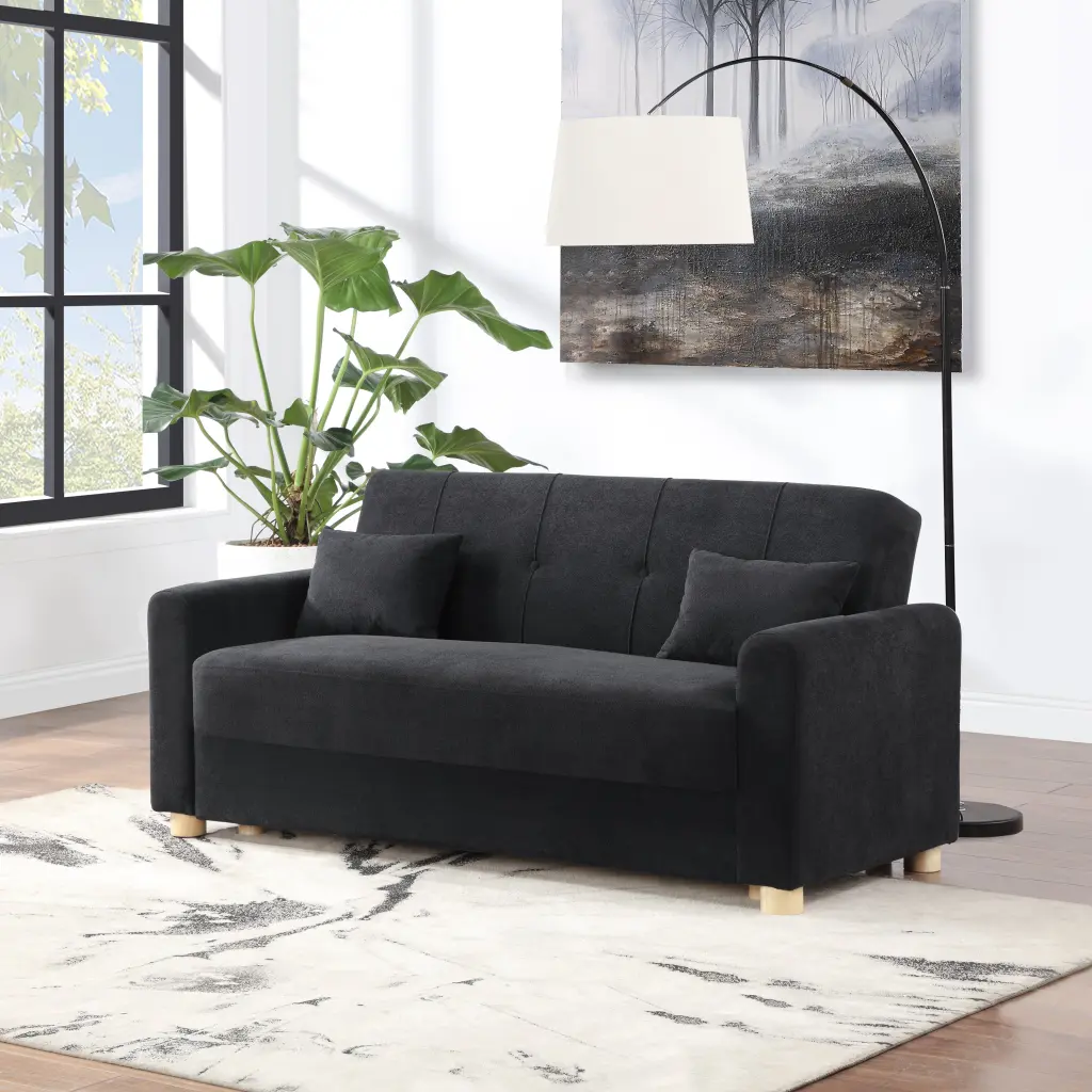 Thomas 66 Inch Black Convertible Sleeper Loveseat Storage lilola home