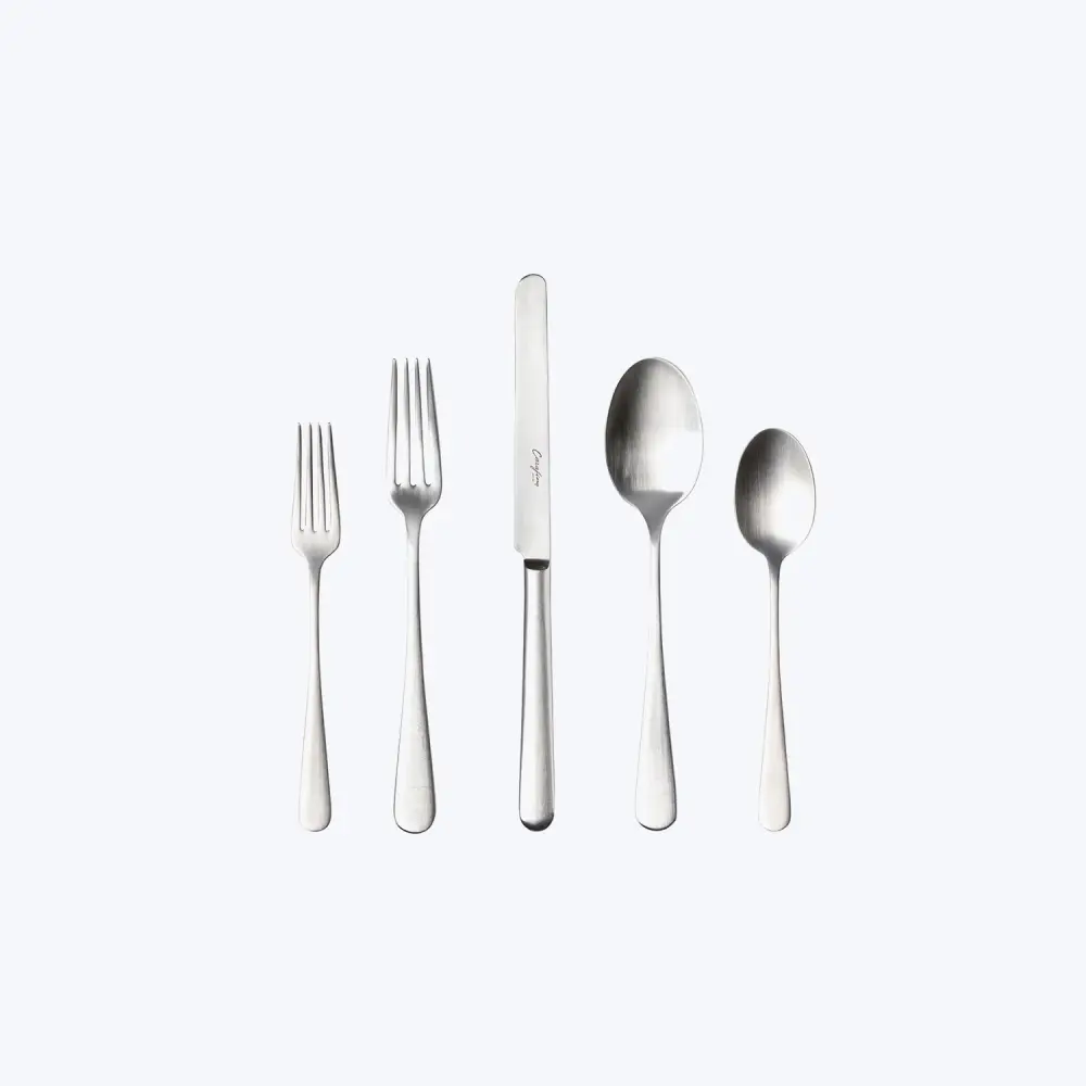 Pacifica Flatware Place, 5pcs