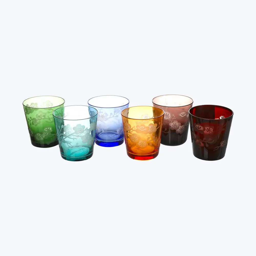 Blossom Multicolor Tumbler Glasses, Adjust 6