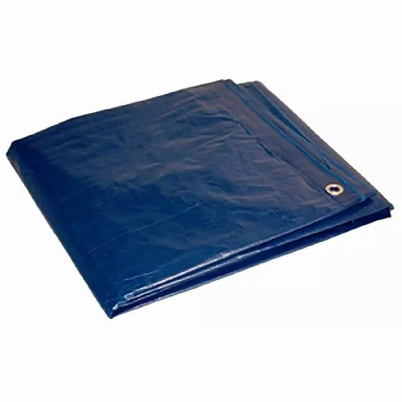Foremost 20x30 Feet Heavy Duty Polyethylene Blue Tarp Waterproof and UV Resistant 10