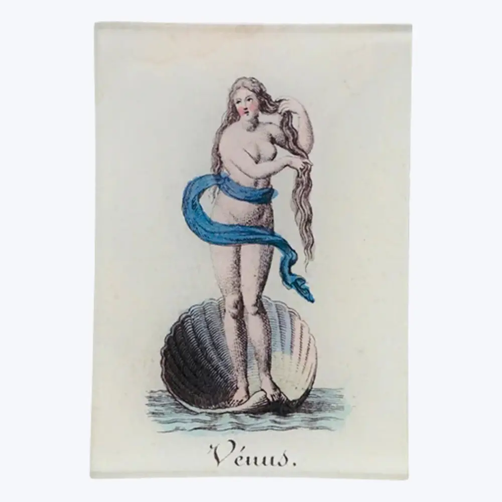 Venus Compact Tray