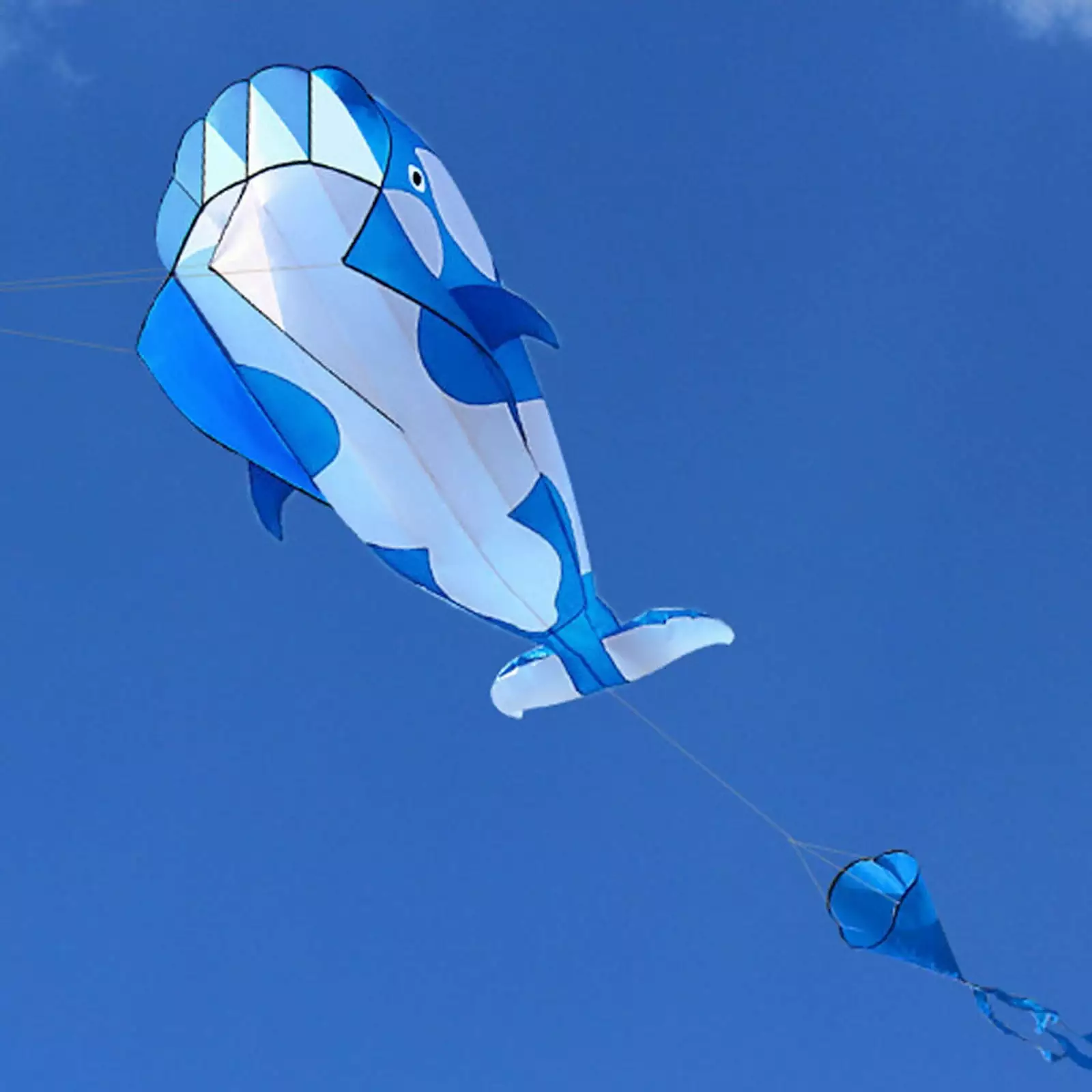 Kite Dolphin Beach Kites Huge Frameless Soft Gift Kids Family 3D Water Emergency Preparedness Camping Backpacks Hiking Boy...