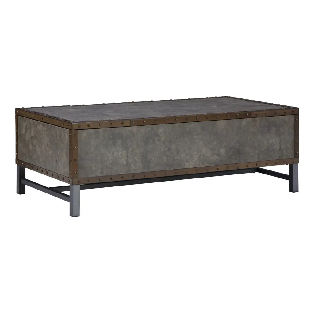 54 Inch Rectangular Trunk Coffee Table Lift Top 2 Bins Bronze Gray Storage Table Benzara
