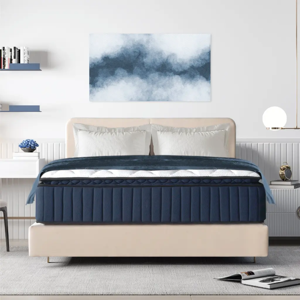 Queen Size 14 Inch Plush Pillow Top Memory Foam Mattress Edge Support brn sleep products