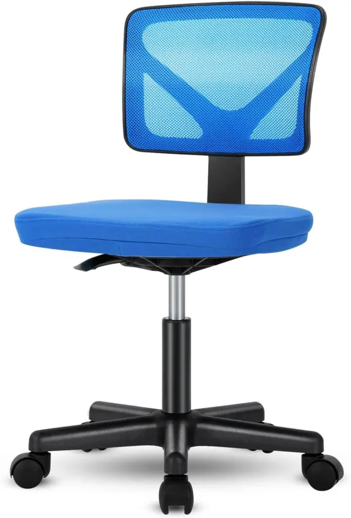 Low Back Mesh Armless Office Chair Swivel Rolling Computer Ergonomic Desk Chair w1134dhs