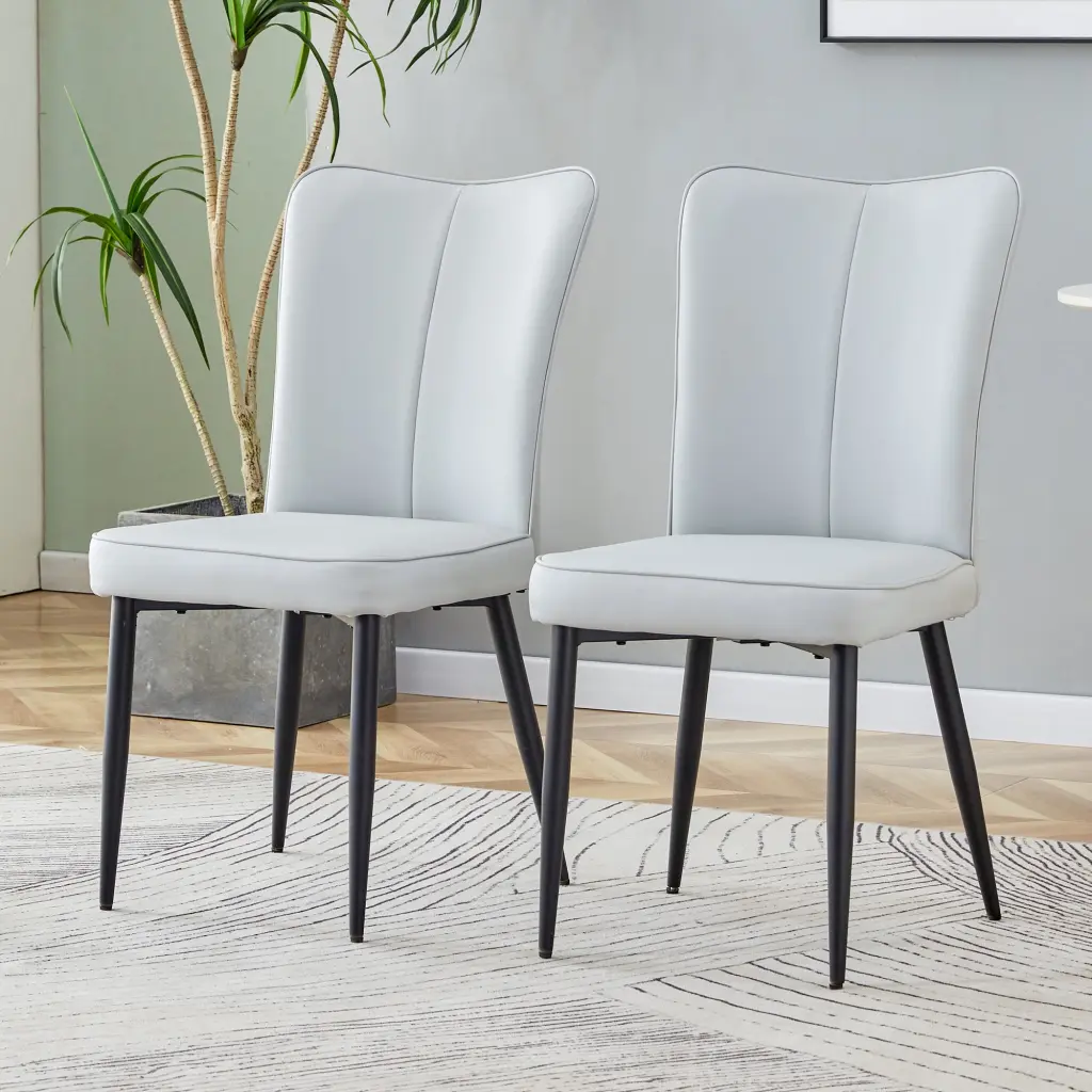 Modern Minimalist Dining Chairs and Stationery Chairs 2 Piece Set Light rnb