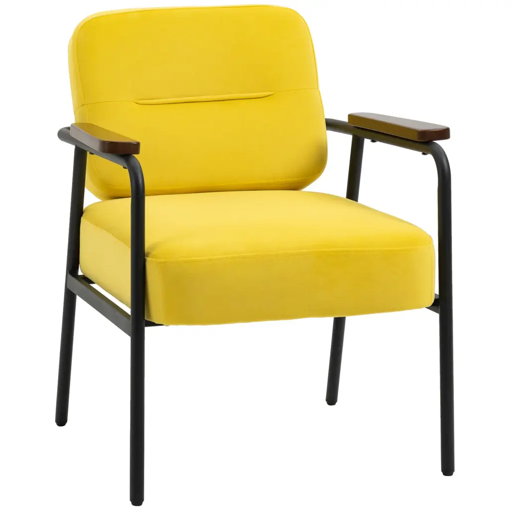 Homcom Modern Accent Chair Cushioned Seat and Back Upholstered Velvet Living Room aosom business