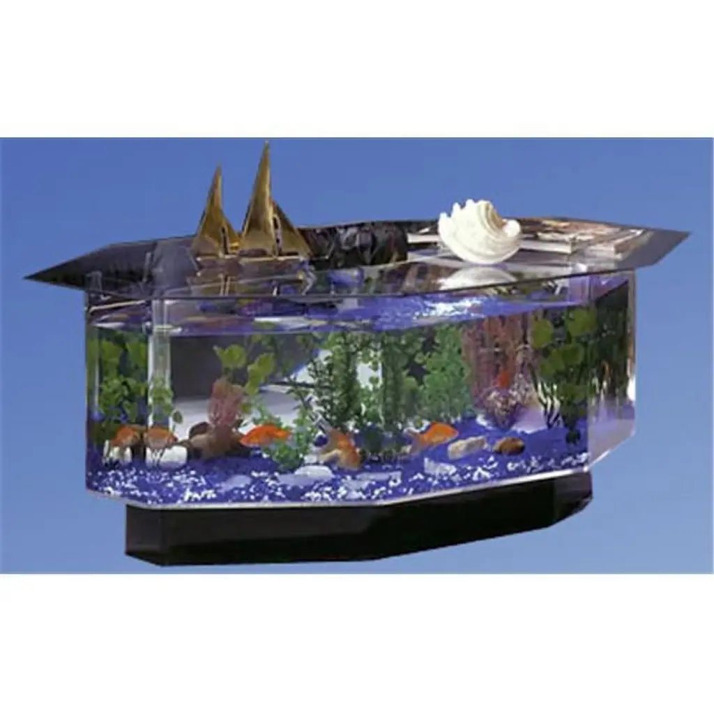 Stretched Octagon Coffee Table Aquarium Glass Top Cat Lady