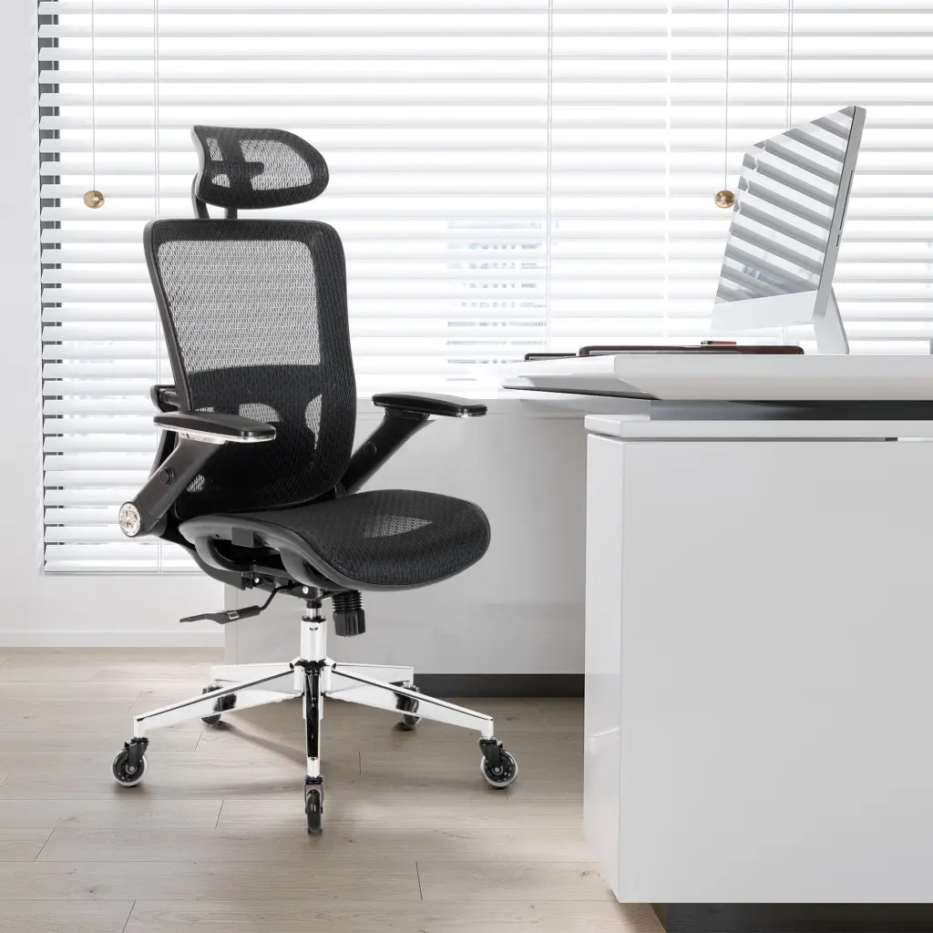 Black Ergonomic Mesh Office Chair High Back Adjustable Headrest ergopro