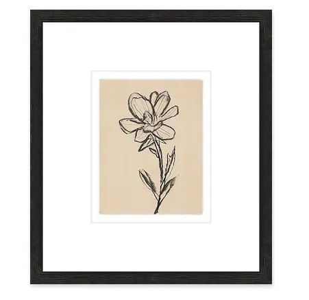 Premium Gallery Quality Floriculture II