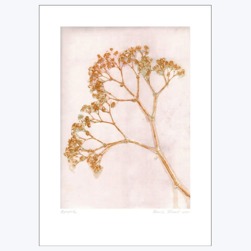 Vintage Style Pernille Folcarelli - Gypso - Ochre