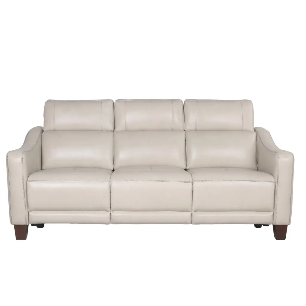 Transitional Dual Power Hide Reclining Sofa Wall Saver Mechanism steve silver furniture