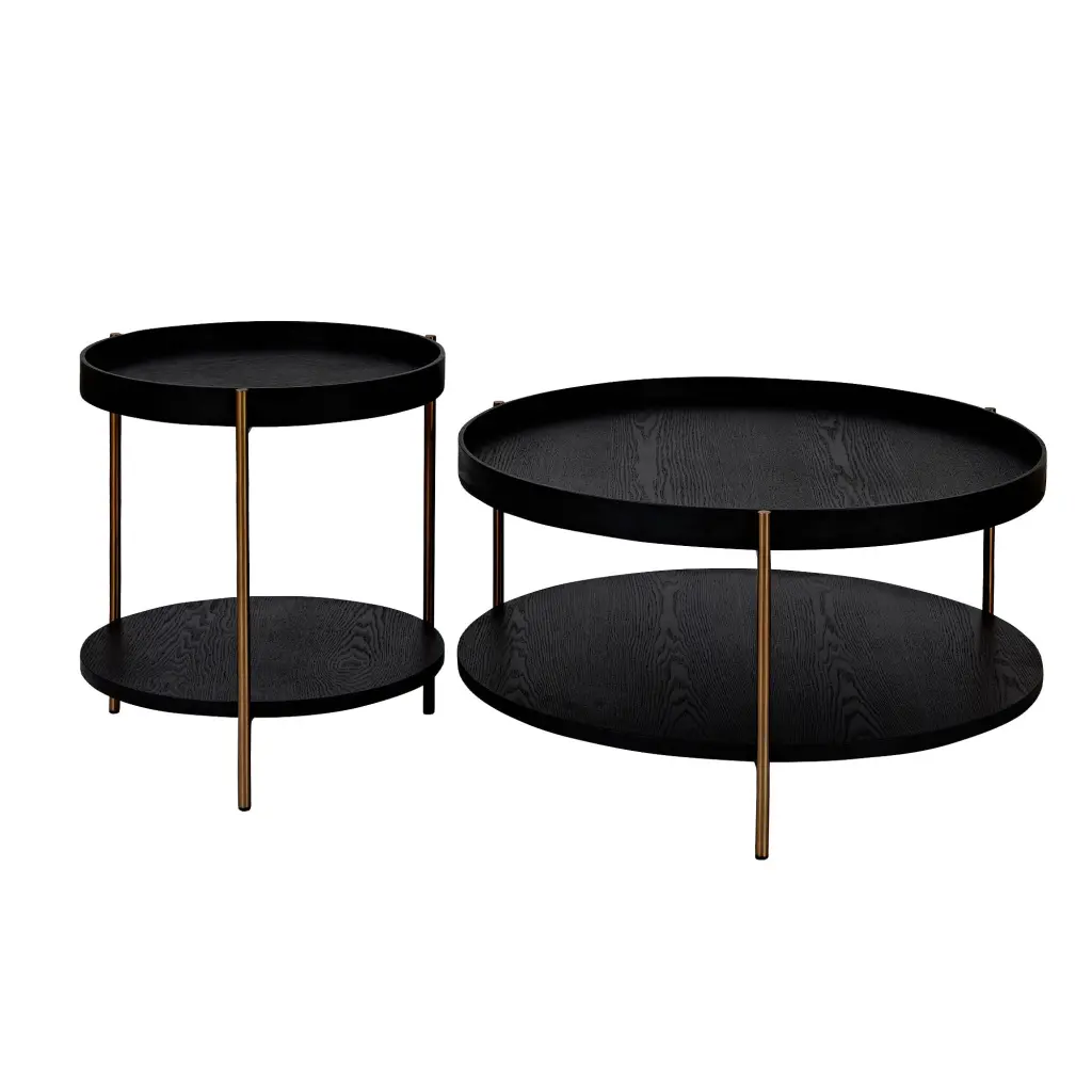 2 Piece Modern 2 Tier Round Coffee Table Set Living Room Easy Assembly justone