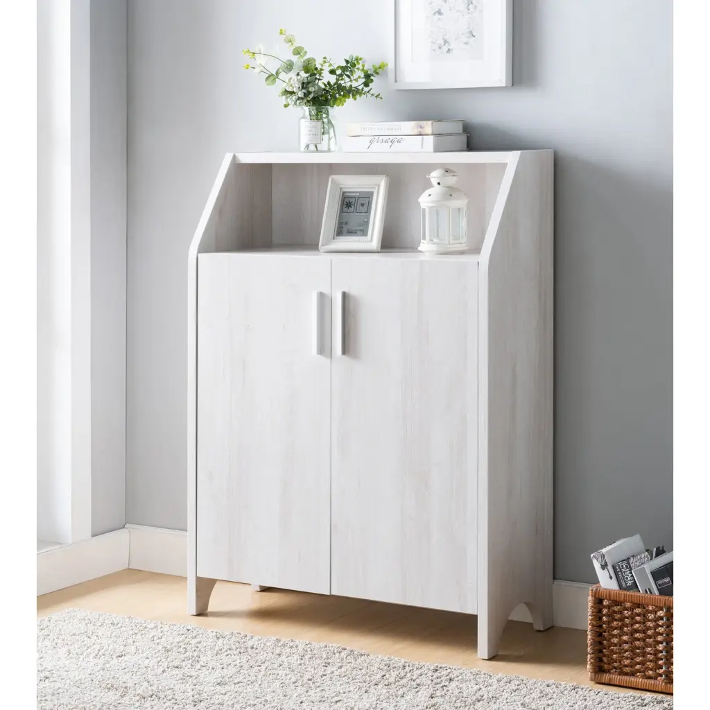 Timberen Two Door Shoe Cabinet 4 Shelves Storage 10 Pairs Indoor Entryway id international- inc.
