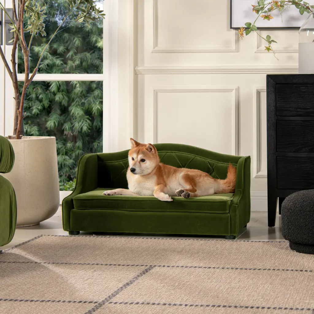 Robin 35 Inch Tufted Wingback Pet Sofa Bed Medium Olive Green Performance Fabric jennifer taylor home