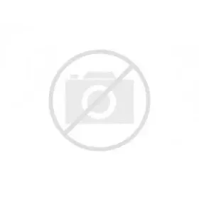 TIMER (WP3948323)