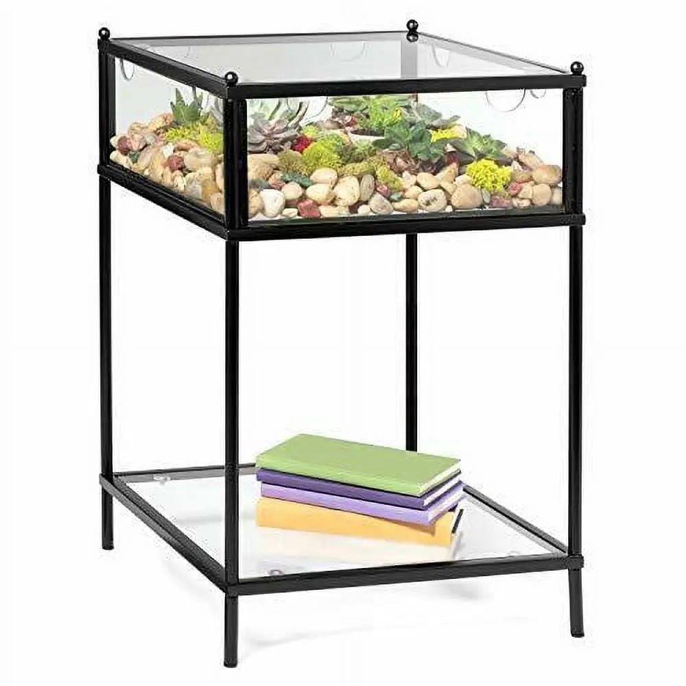 Square Terrarium Display End Table Reinforced Glass Black Iron 18x18x27 D'Eco