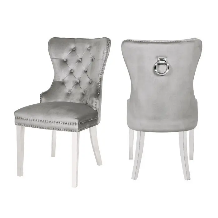 Erica 2 Piece Stainless Steel Legs Chair Set Velvet Upholstery galaxy home furnishings